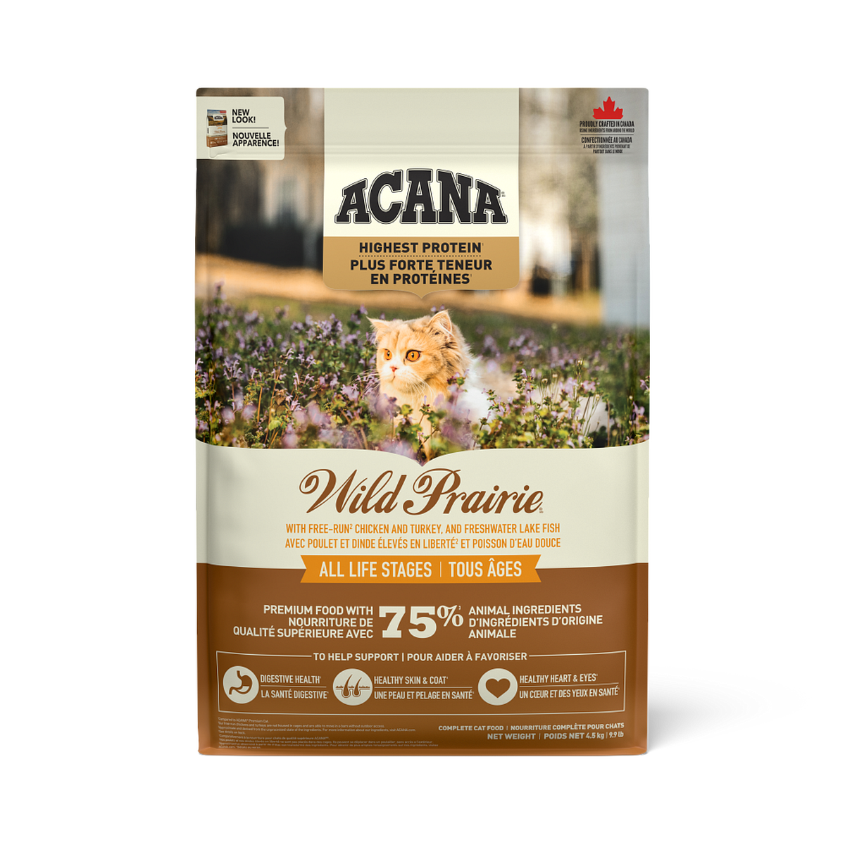 Acana cat cheap